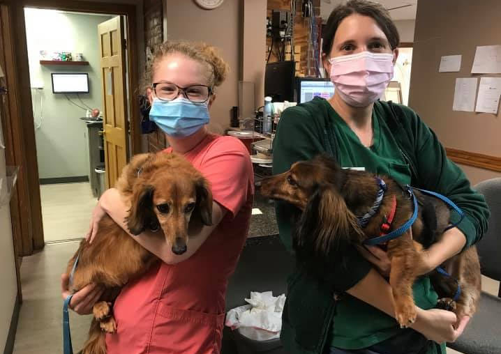 Carousel Slide 5: Hudson veterinarians